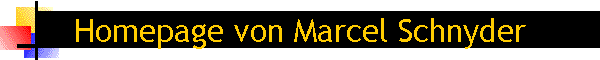 Homepage von Marcel Schnyder